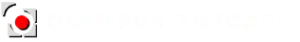 default-logo